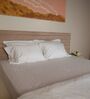 White With White 500 Tc Cotton Contrast Embroidered Bedsheet Set With 2 Pillow Covers