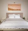 White With White 500 Tc Cotton Contrast Embroidered Bedsheet Set With 2 Pillow Covers