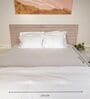 White With Green 500 Tc Cotton Contrast Embroidered Bedsheet Set With 2 Pillow Covers
