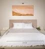 White With Blue 500 Tc Cotton Contrast Embroidered Bedsheet Set With 2 Pillow Covers