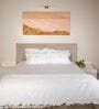 White With Pink 500 Tc Cotton Contrast Embroidered Bedsheet Set With 2 Pillow Covers