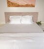 White With Green 500 Tc Cotton Contrast Embroidered Bedsheet Set With 2 Pillow Covers