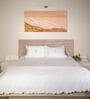 White With Blue 500 Tc Cotton Contrast Embroidered Bedsheet Set With 2 Pillow Covers