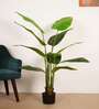 5Ft Artificial Bird of Paradise Tree Plant with Pot