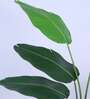 5Ft Artificial Bird of Paradise Tree Plant with Pot