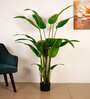 5Ft Artificial Bird of Paradise Tree Plant with Pot