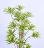 5Ft Artificial Dracaena Reflexa Tree Plant with Black Pot