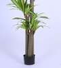 5Ft Artificial Dracaena Reflexa Tree Plant with Pot