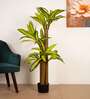 5Ft Artificial Dracaena Reflexa Tree Plant with Pot