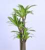 5Ft Artificial Dracaena Reflexa Tree Plant with Pot