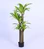 5Ft Artificial Dracaena Reflexa Tree Plant with Pot