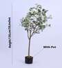 5Ft Artificial Eucalyptus Plant with Black Pot