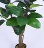 5Ft Artificial Fiddle Leaf Fig Tree Plant with Pot