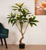 5Ft Artificial Frangipani Tree Plant with Pot
