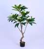 5Ft Artificial Frangipani Tree Plant with Pot