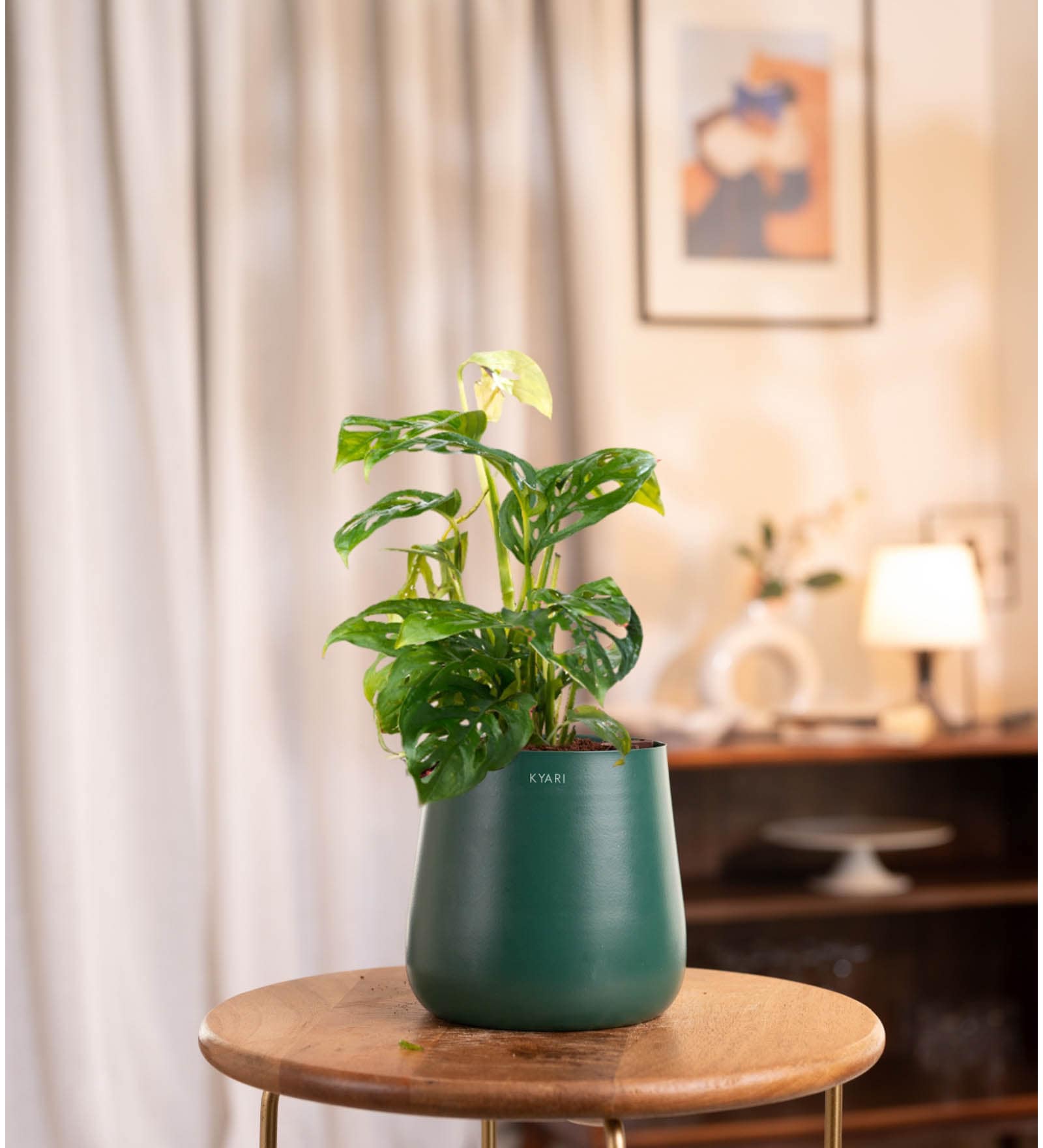 Broken Heart With Aura Pot- Green