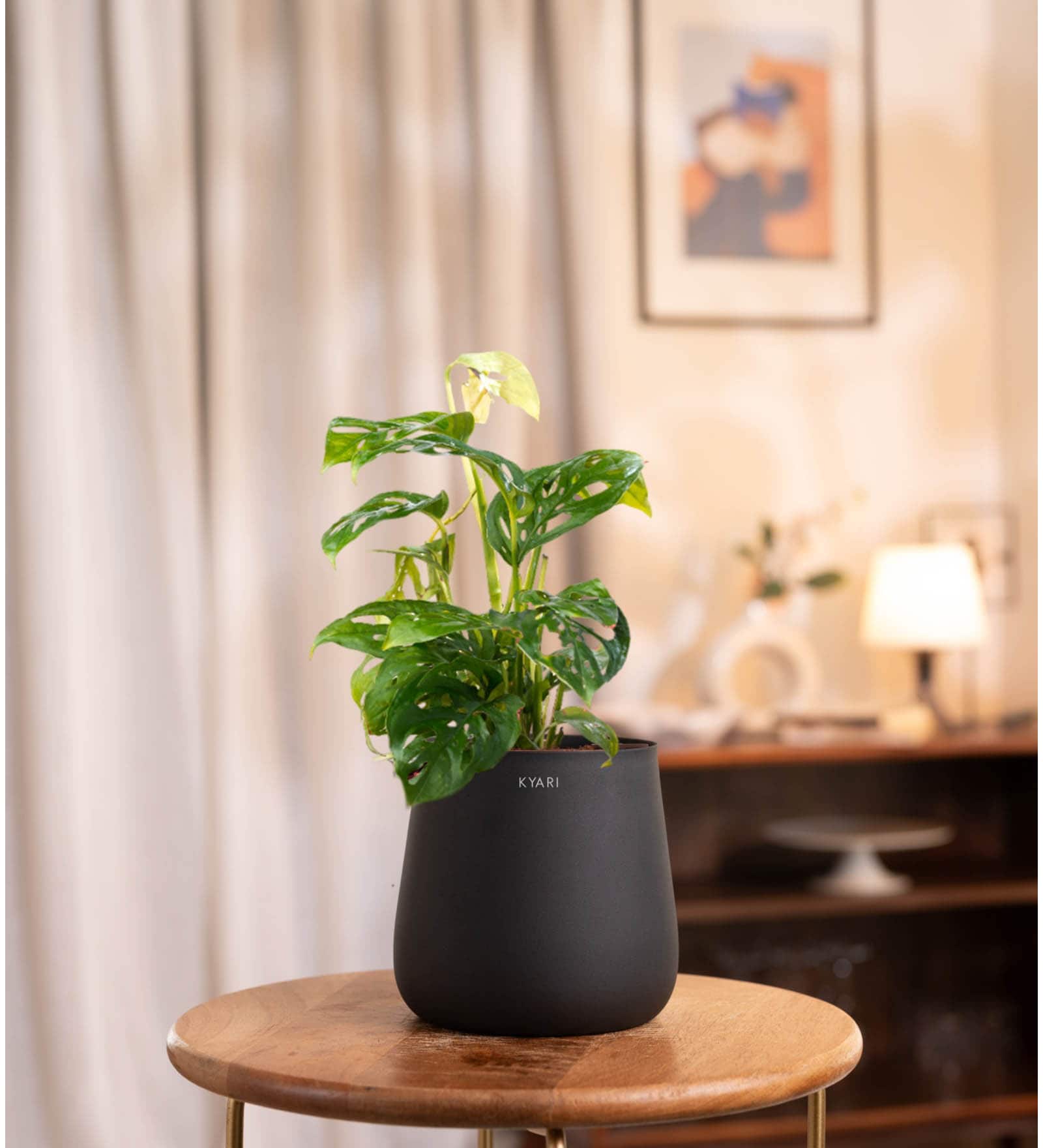 Broken Heart With Aura Pot- Jet-Black