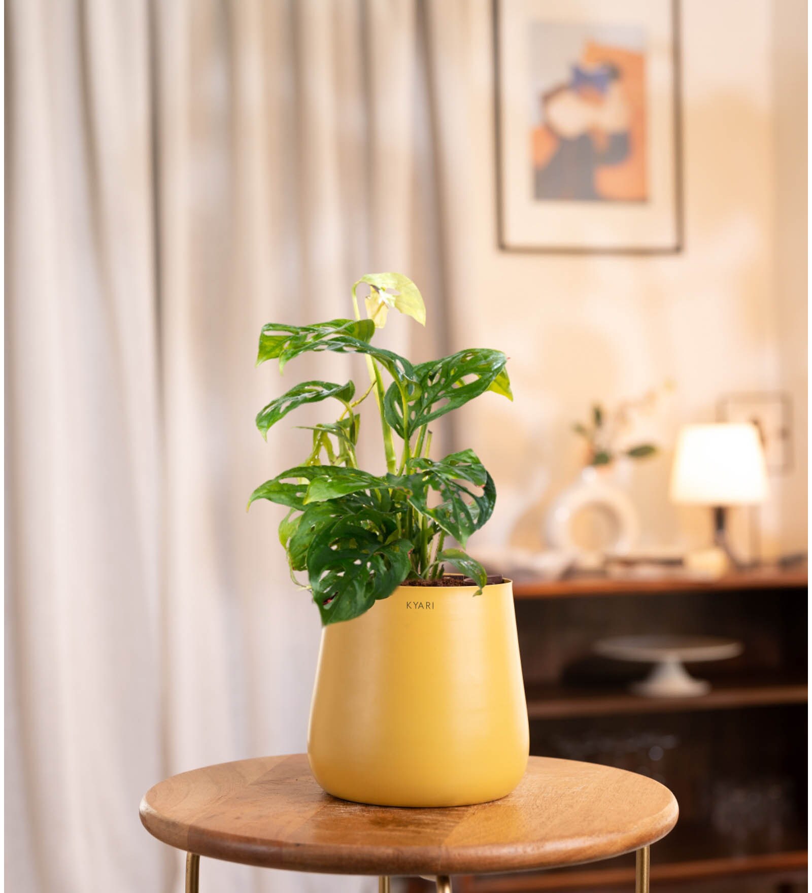 Broken Heart With Aura Pot- Yellow