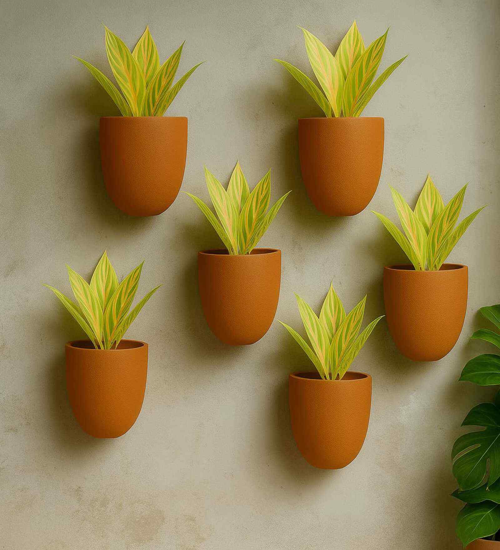 6 Pcs Red Terracotta 6.5 Inchs Planters