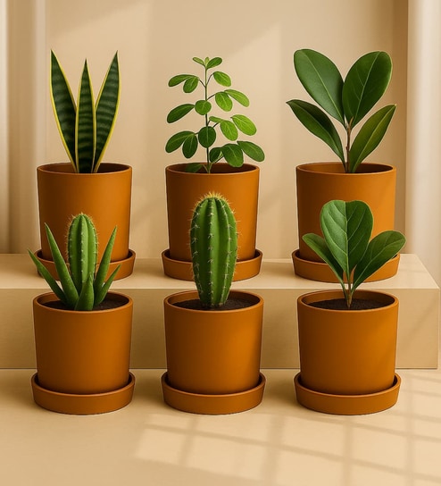 6 Pcs Red Terracotta 6 Inchs Planters