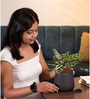 Peacock Plant With Aura Pot- Jet-Black