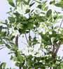 6.2Ft Artificial Sakura Cherry Blossom Tree Plant with Pot