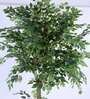 6.5Ft Artificial Large Ficus Tree Plant with Pot