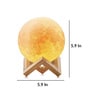 Inverted Beige PVC & Wood LED Lamps