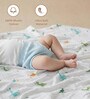 Blue 6-Layer Baby Muslin Blanket Organic Cotton mix colored dinosaur Print