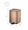 Copper 6 Ltr Stainless Steel Step Dustbin