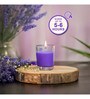 6-Pack Votive Glass Candle