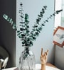 Set Of 6 Green Plastic Eucalyptus Dried Plants