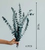 Set Of 6 Green Plastic Eucalyptus Dried Plants
