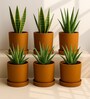 6 Pcs Red Terracotta 4 Inchs Planters