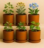 6 Pcs Red Terracotta 4 Inchs Planters