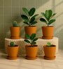 6 Pcs Red Terracotta 5.5 Inchs Planters