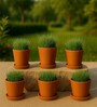 6 Pcs Red Terracotta 5.5 Inchs Planters