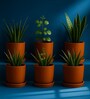 6 Pcs Red Terracotta 6 Inchs Planters