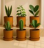 6 Pcs Red Terracotta 6 Inchs Planters