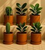 6 Pcs Red Terracotta 6 Inchs Planters