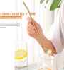 6 Pcs Stainless Steel 2-in-1 Straw Cum Spoons with Cleaning Brush (Golden)