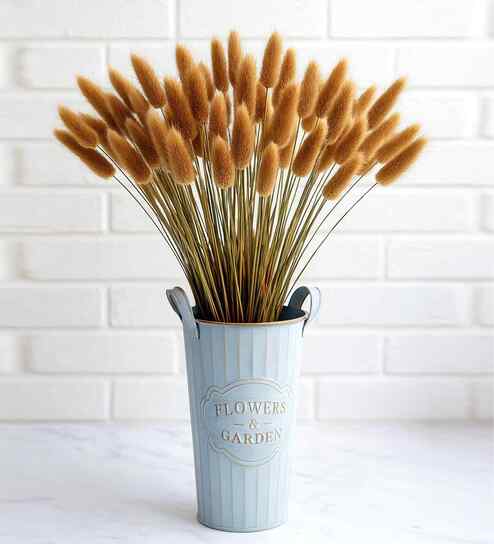 Grey Metal 60 Pcs Bunny Tails Dried Plants