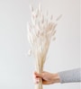 White Metal 60 Pcs Bunny Tails Dried Plants