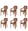 6020 Chair Plastic Chair in Brown Colour