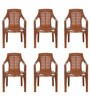 6020 Chair Plastic Chair in Brown Colour