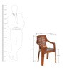 6020 Chair Plastic Chair in Brown Colour