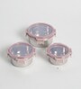 Clear Lock Series Regular Stainless Steel (Set of 3 ) Airtight Container with Leak Proof lid