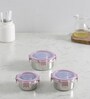 Clear Lock Series Regular Stainless Steel (Set of 3 ) Airtight Container with Leak Proof lid