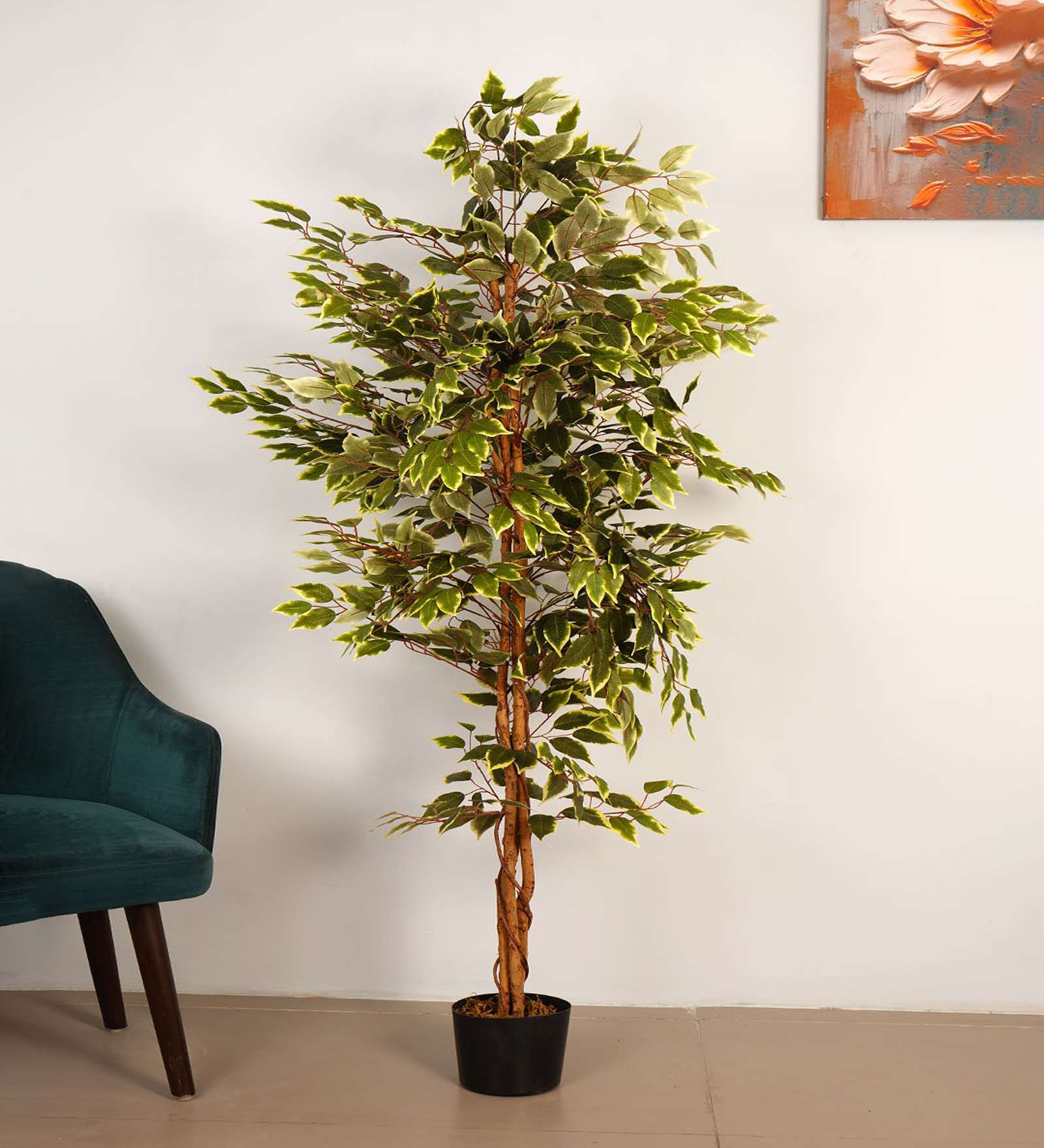 6Ft Artificial Variegated Ficus Tree Plant with Pot