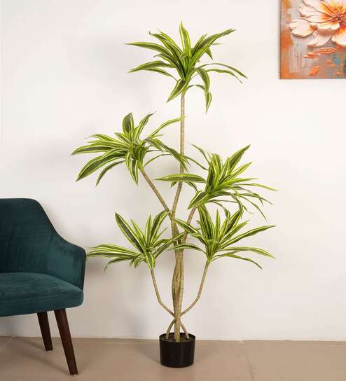 6Ft Artificial Dracaena Plant with Pot